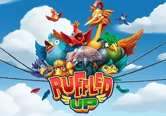 Ruffled Up
